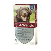 Advantix капли на холку для собак весом более 25 кг, 1 тюбик-пипетка 4,0 мл